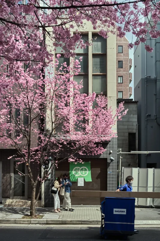 新日本橋のおかめ桜をスナップしていると…