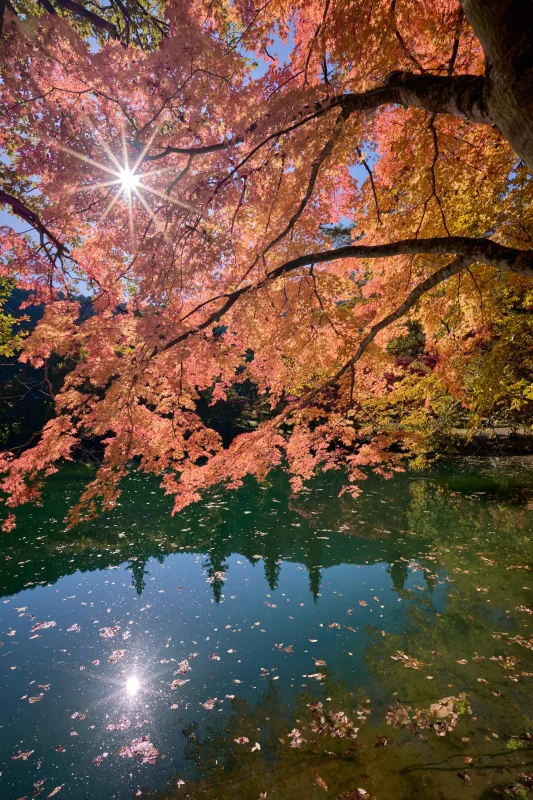 北伊奈ヶ湖の紅葉もすごいぞ！