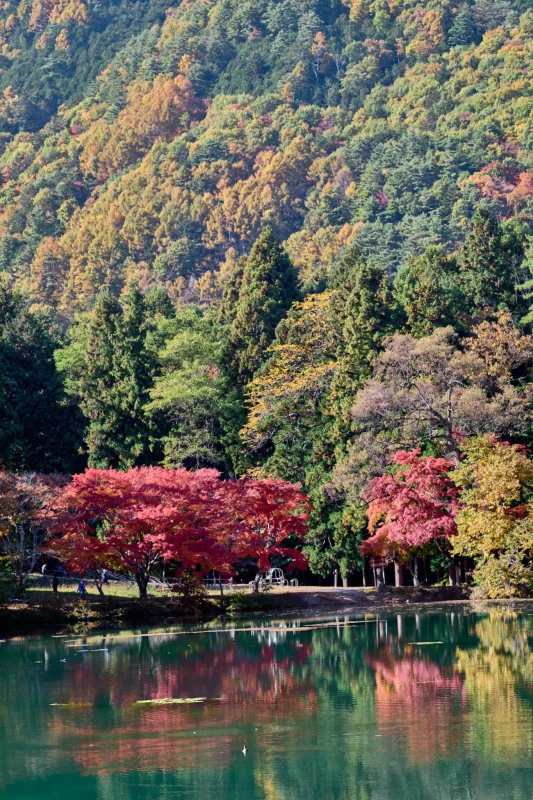 北伊奈ヶ湖の紅葉もすごいぞ！