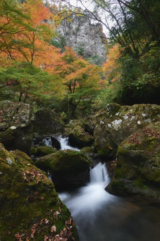 神戸岩付近の紅葉が素晴らしかった！