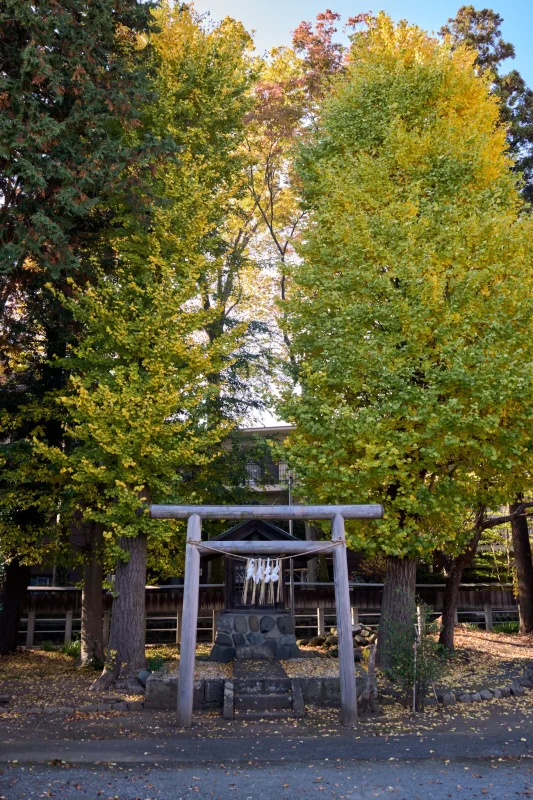 小川熊野神社に初訪問