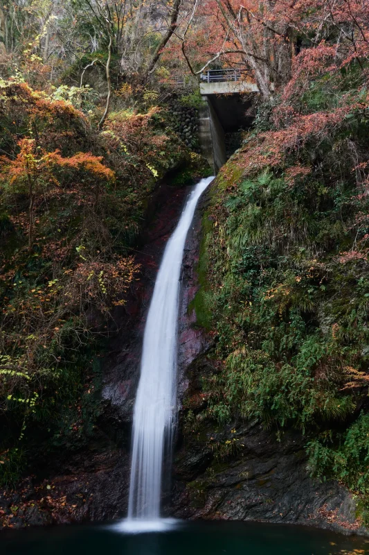 秩父華厳の滝と紅葉のコラボが素晴らしい！