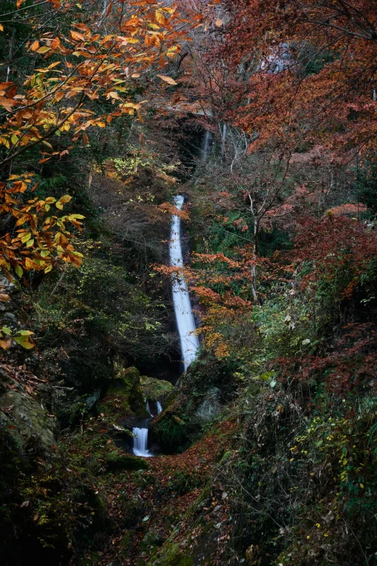 秩父華厳の滝と紅葉のコラボが素晴らしい！