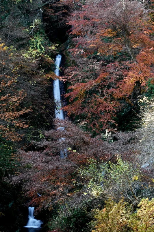 秩父華厳の滝と紅葉のコラボが素晴らしい！