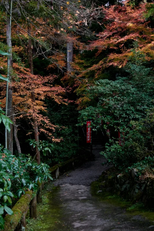 宝登山神社の紅葉もすごかった！