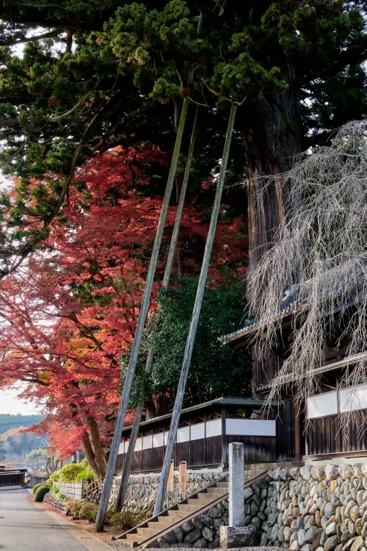 京都に負けない東京都青梅市の安楽寺の紅葉