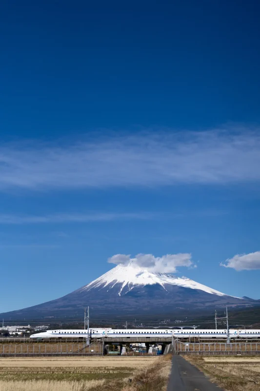富士山と新幹線のコラボ・アラカルト