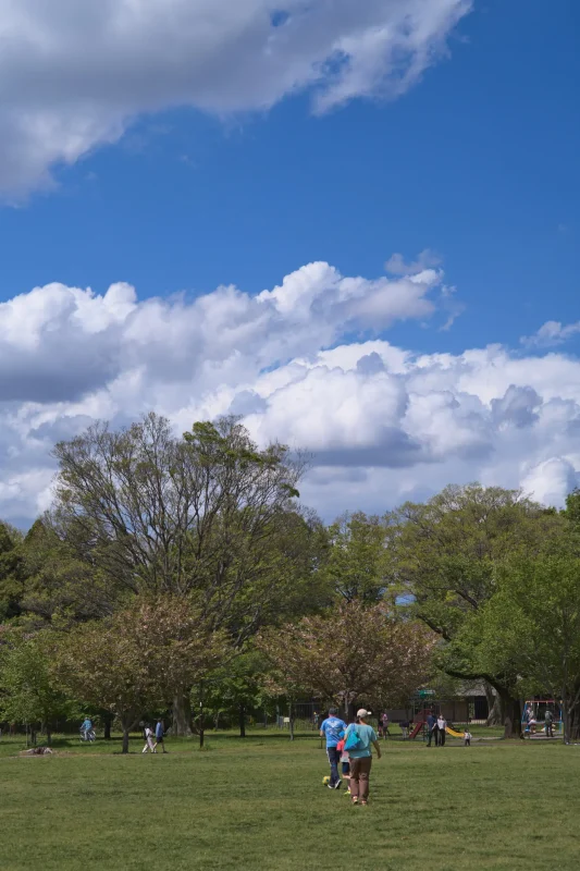 再び小金井公園で夏を感じる