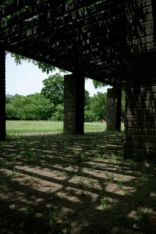 小金井公園で見つけた三菱