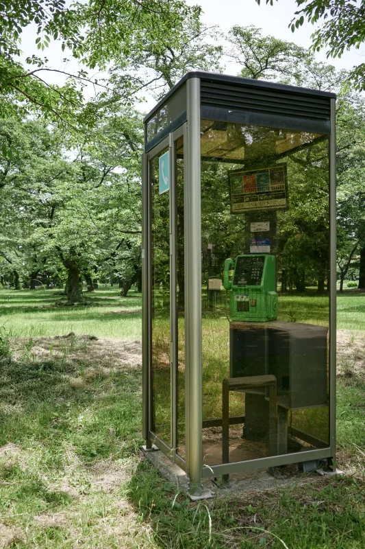 小金井公園で見つけた三菱