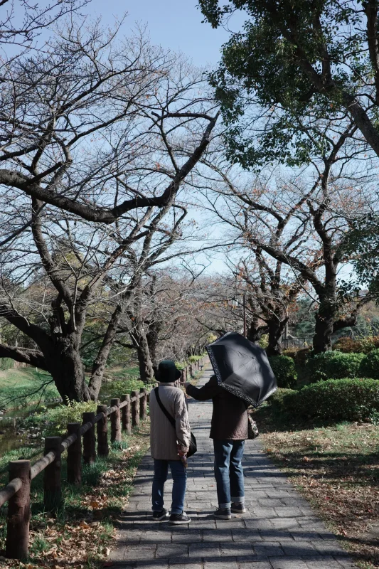 冬の根川緑道を歩いてきた