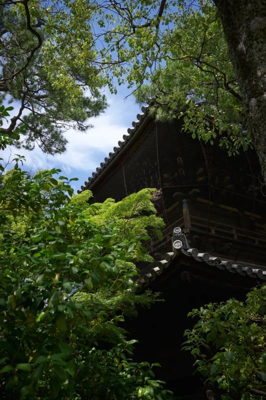 泉岳寺は経由地でした