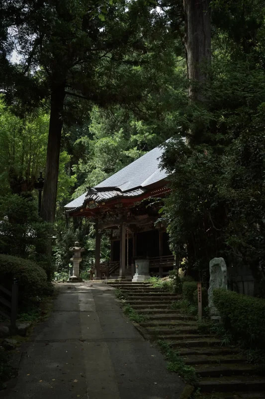 大悲願寺の雰囲気が好きすぎてやばい