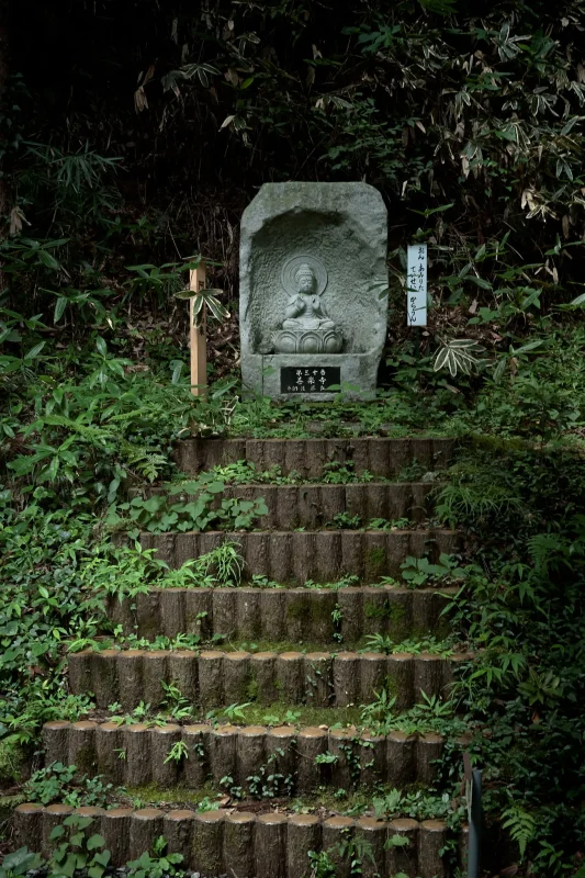 大悲願寺の雰囲気が好きすぎてやばい