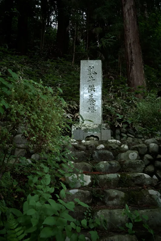 大悲願寺の雰囲気が好きすぎてやばい