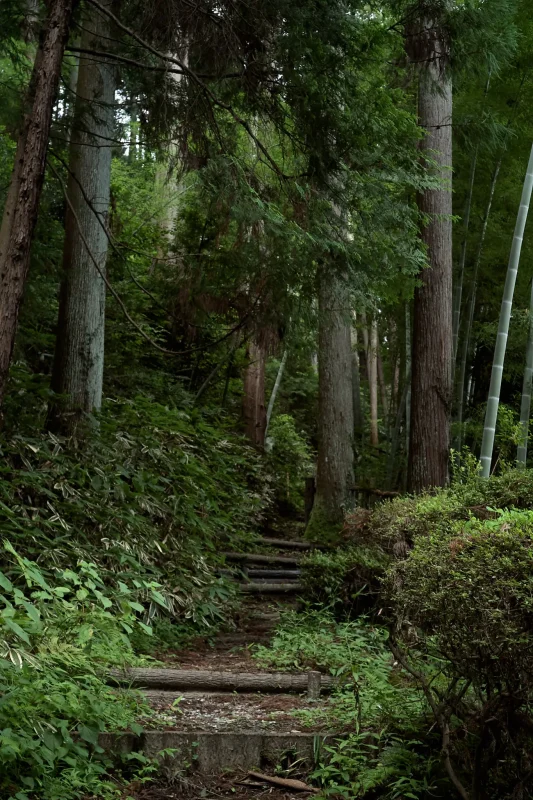 大悲願寺の雰囲気が好きすぎてやばい