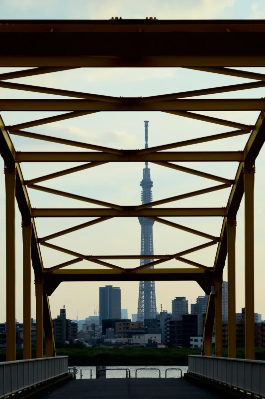 四つ木から見る夕景の東京スカイツリーが素敵すぎる