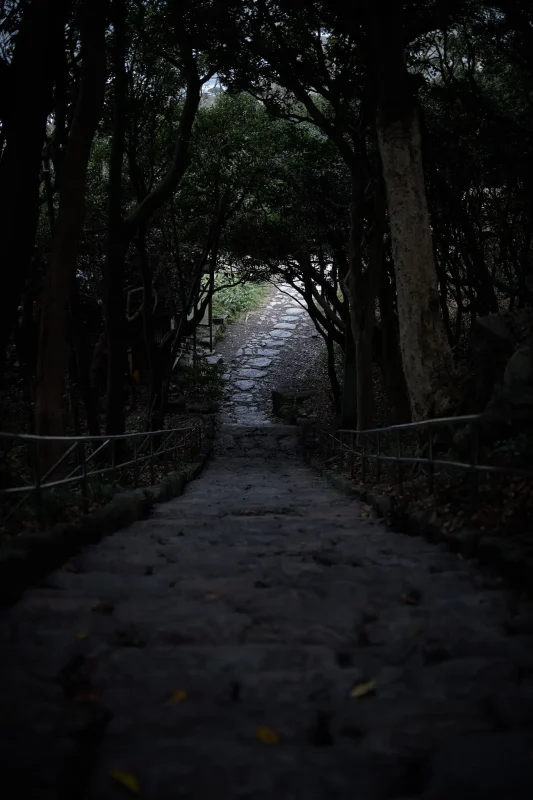 雄島は雰囲気満点な穴場スポット / 北陸三県旅行2024