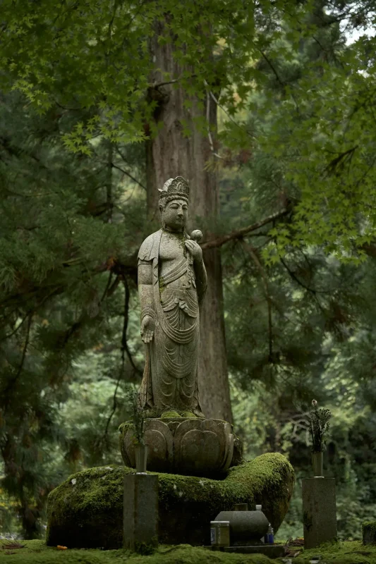 永平寺の雰囲気、たまらん！ / 北陸三県旅行2024