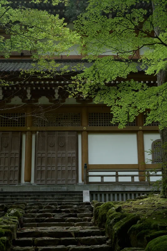 永平寺の雰囲気、たまらん！ / 北陸三県旅行2024