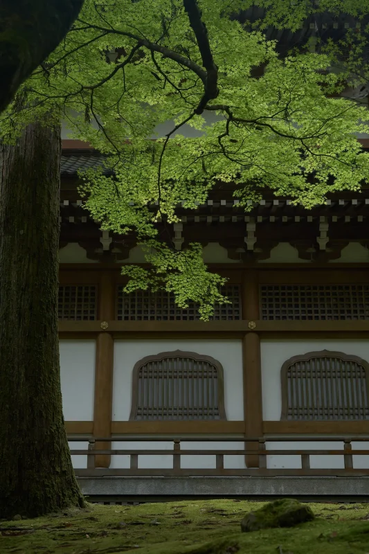 永平寺の雰囲気、たまらん！ / 北陸三県旅行2024