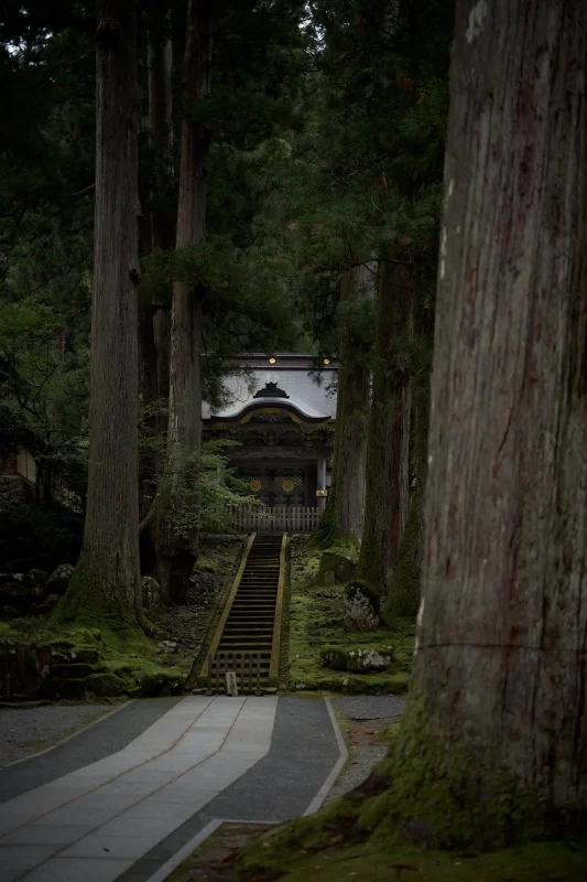 永平寺の雰囲気、たまらん！ / 北陸三県旅行2024