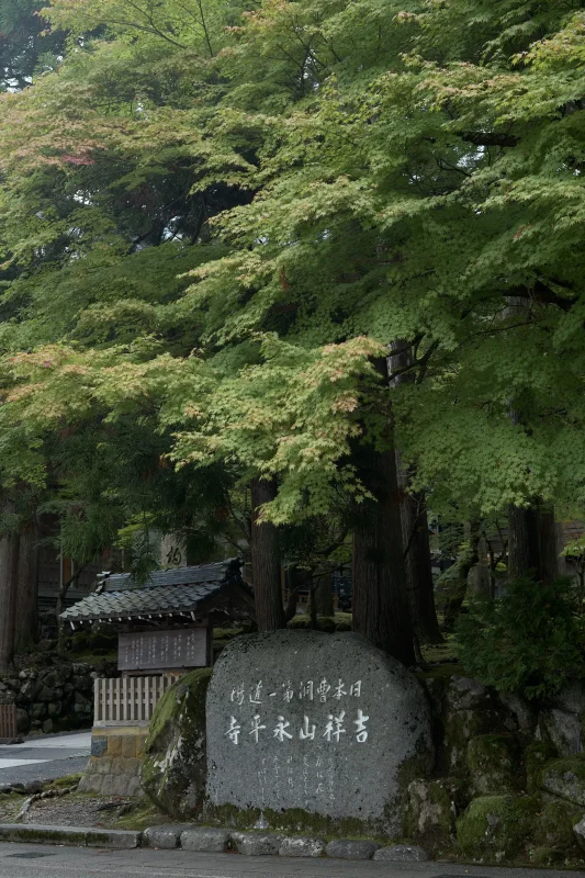 永平寺の雰囲気、たまらん！ / 北陸三県旅行2024