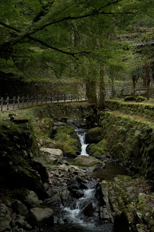 愛宕山公園の寂光苑は絶対に寄れ！ / 北陸三県旅行2024