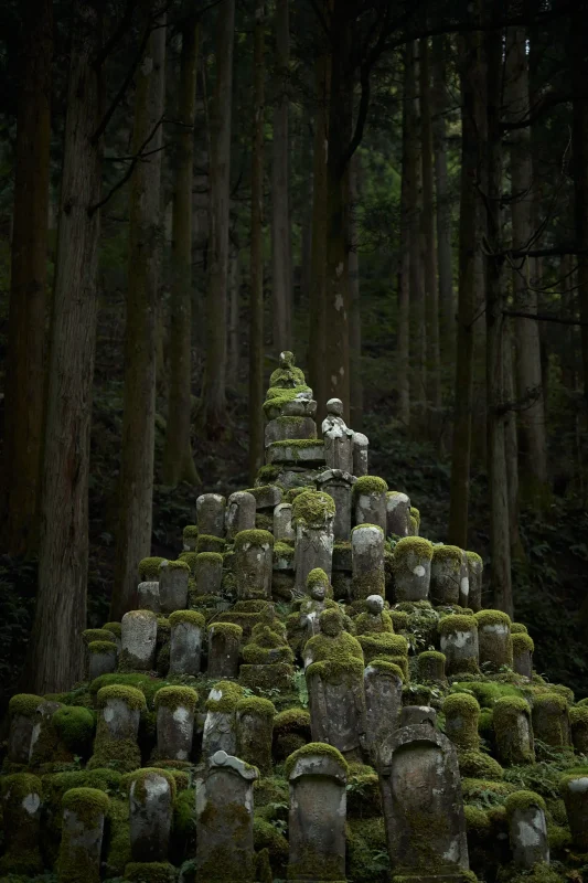 愛宕山公園の寂光苑は絶対に寄れ！ / 北陸三県旅行2024