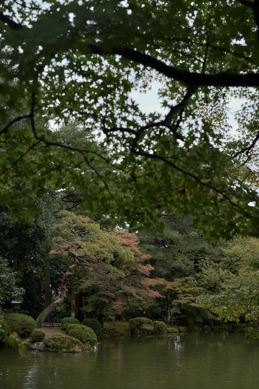 兼六園と金沢城公園の紅葉（まだまだ） / 北陸三県旅行2024