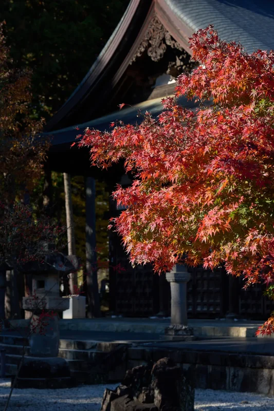 恵林寺は紅葉よりもイチョウが綺麗だった