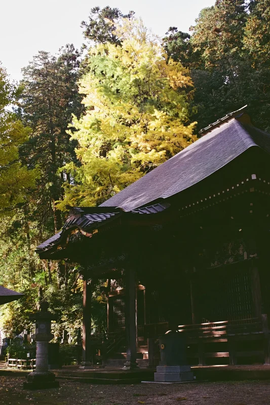 秋の横沢入と大悲願寺をフィルムカメラで撮る