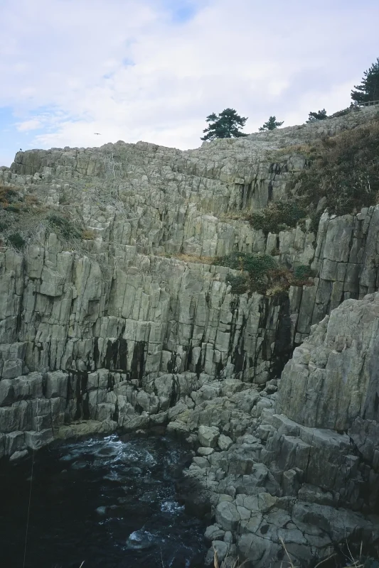 MINOLTA TC-1で撮った福井・石川・富山 / 北陸三県旅行2024