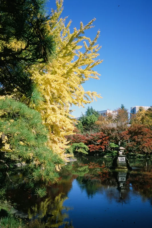 日比谷公園の紅葉とイチョウ