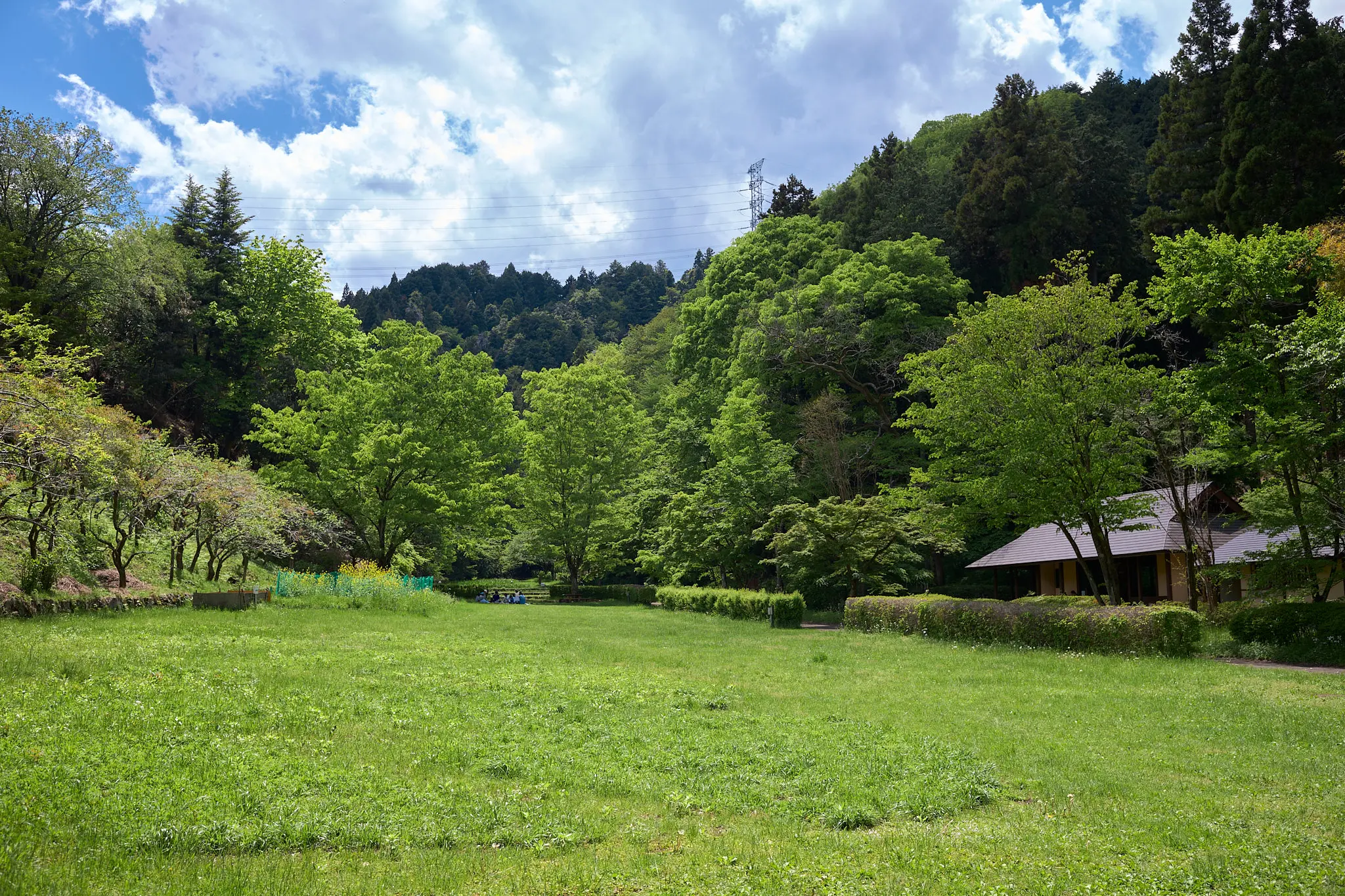 あきる野市の小峰公園で新緑を浴びてきた
