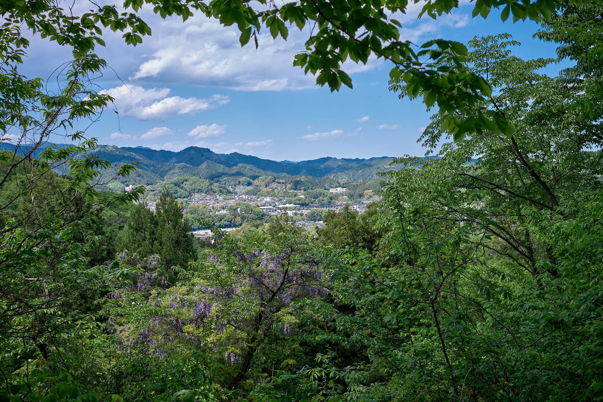ヤマツツジが咲く山道を登った先にあったものとは?