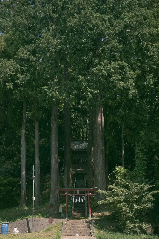 髙尾神社は雰囲気満点の素敵な神社