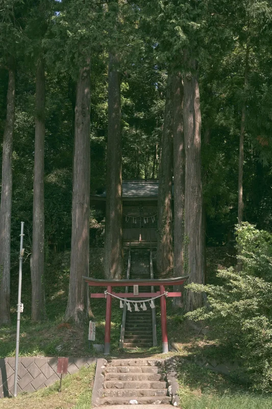 髙尾神社は雰囲気満点の素敵な神社