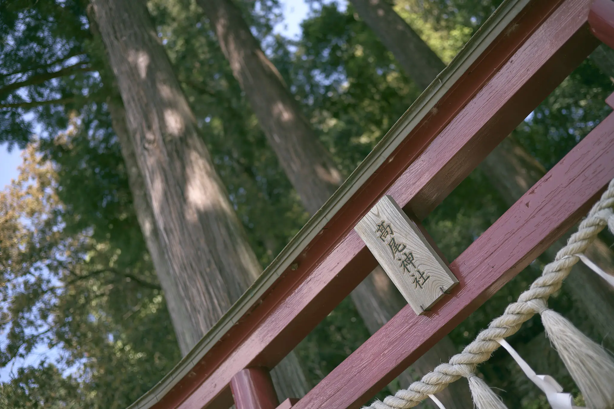 髙尾神社は雰囲気満点の素敵な神社