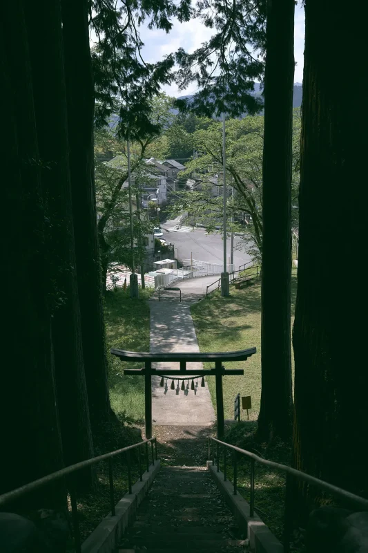 髙尾神社は雰囲気満点の素敵な神社