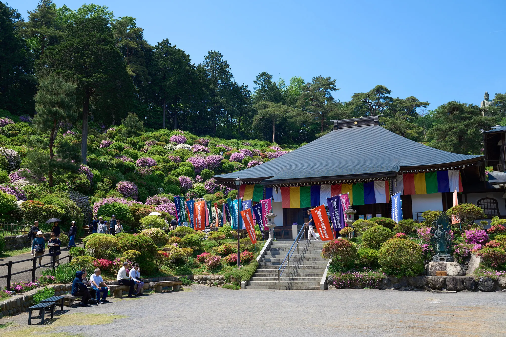 塩船観音寺のつつじを初めて見に行ってきた