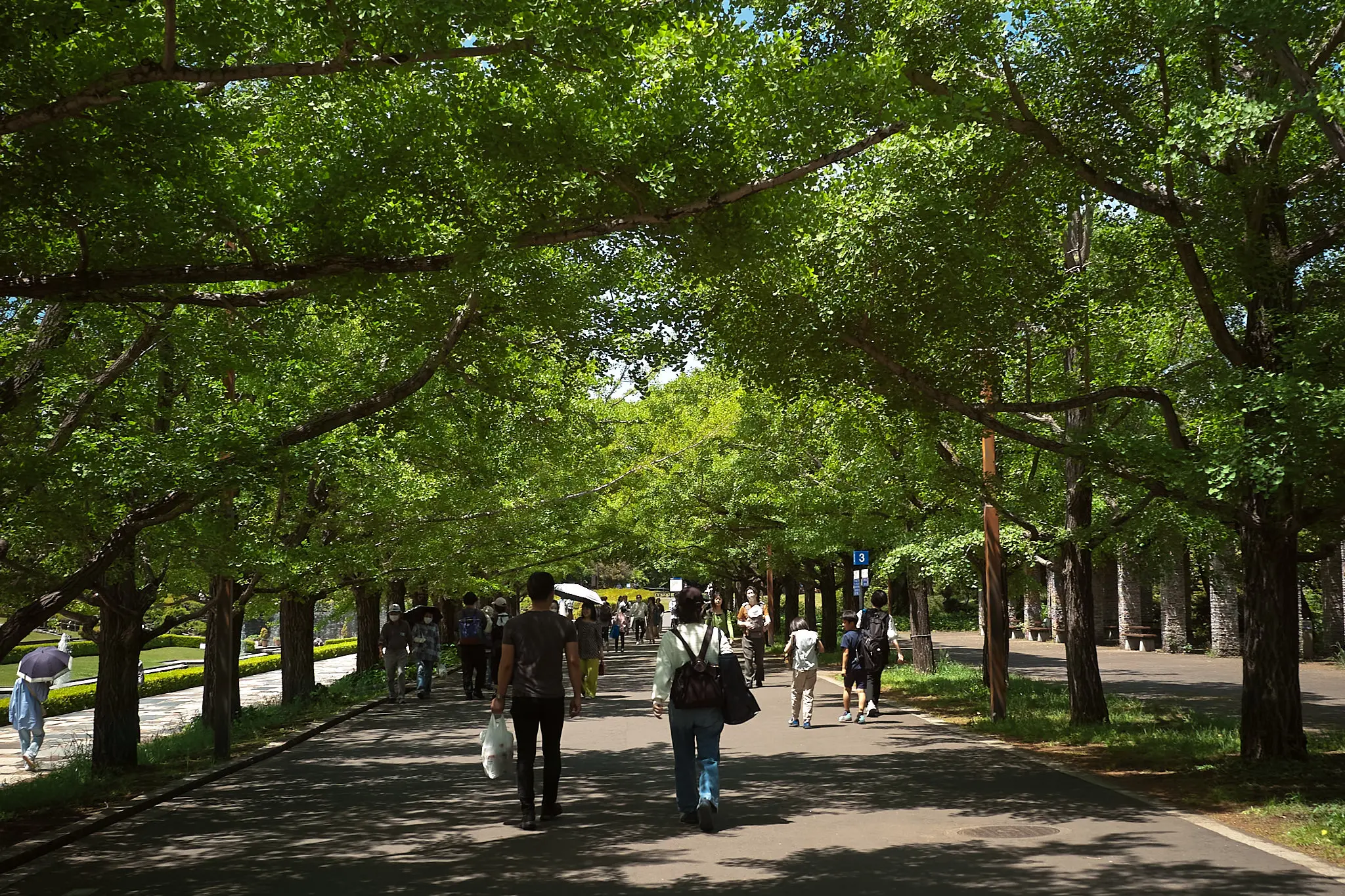 緑がキレイな昭和記念公園、なぜこれがドアンダーに?