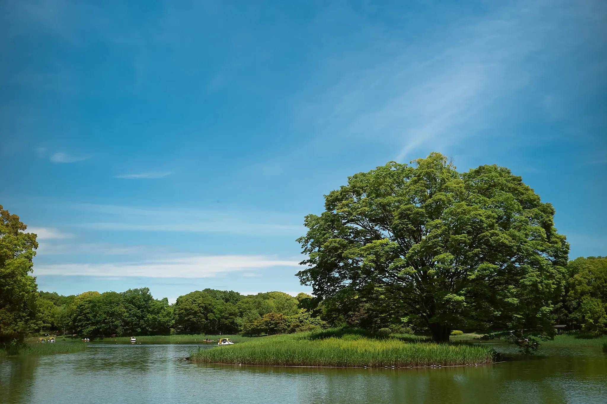 緑がキレイな昭和記念公園、なぜこれがドアンダーに?