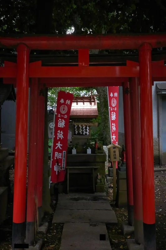 中野氷川神社、やっぱりたまんねぇ!