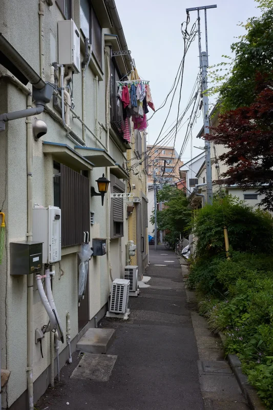 えっ、もうアジサイ!?