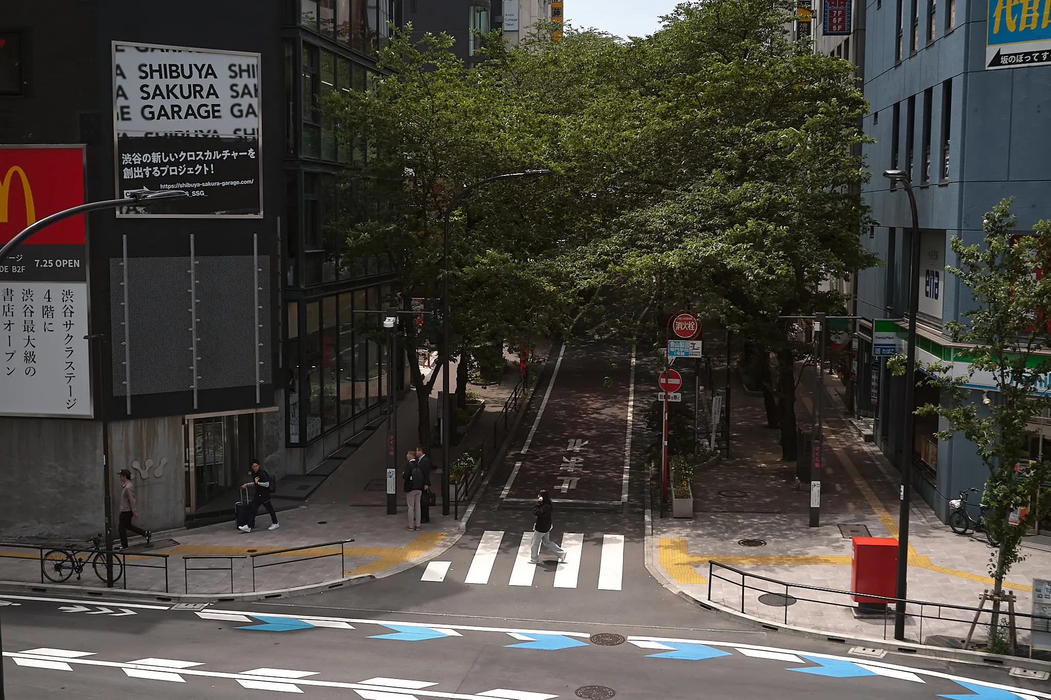 日本作例写真家協会写真展「JSPA2025」@ギャラリー・ルデコに行ってきた