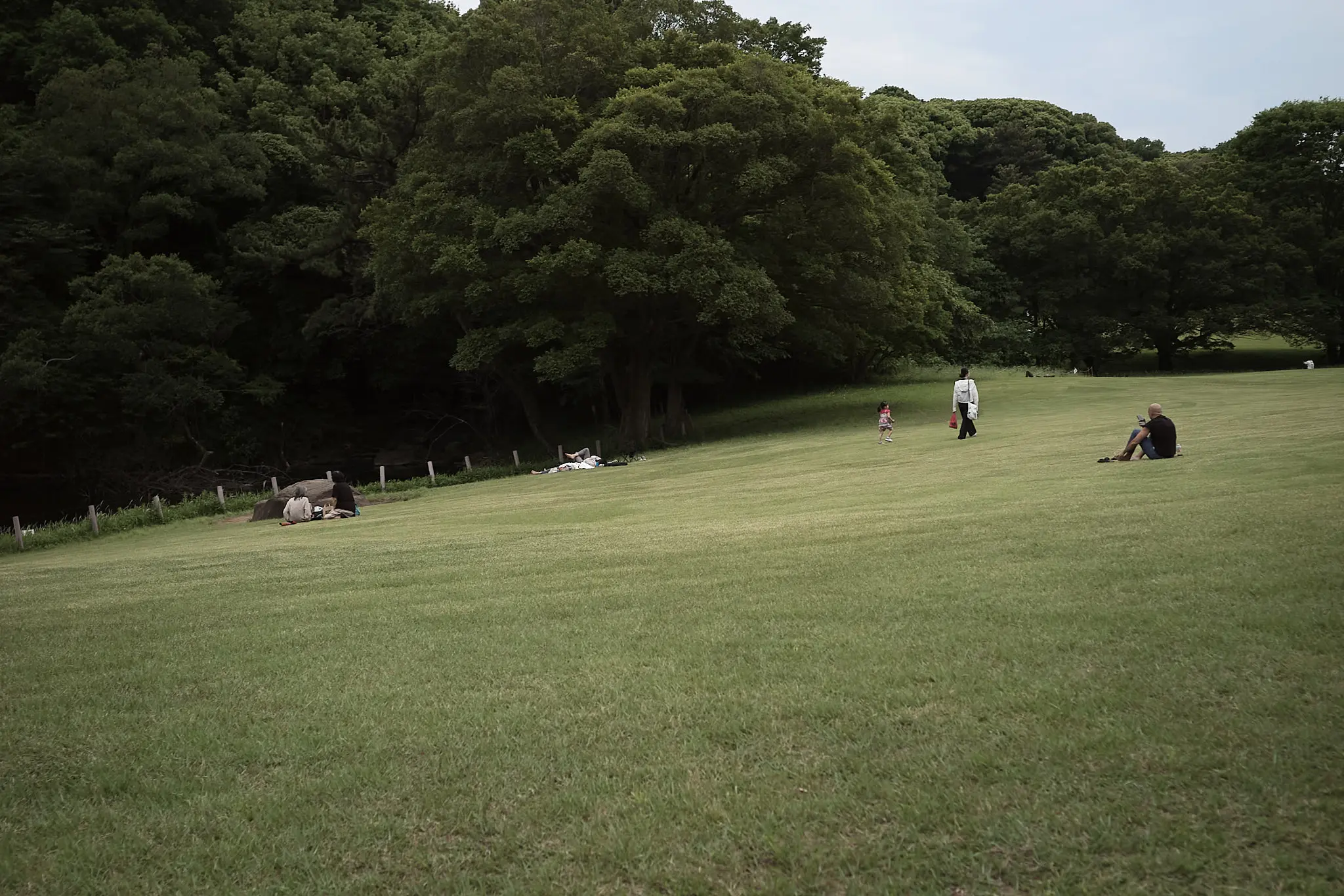 厳かな雰囲気の明治神宮はインバウンドがいっぱい