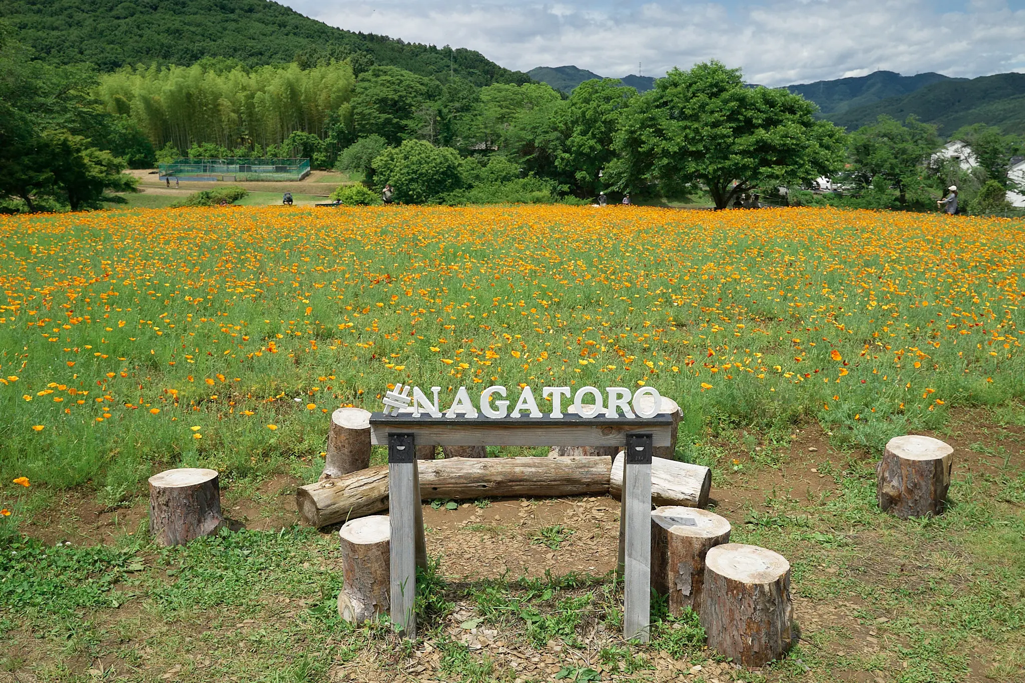 長瀞花の里のオブジェを活用しよう