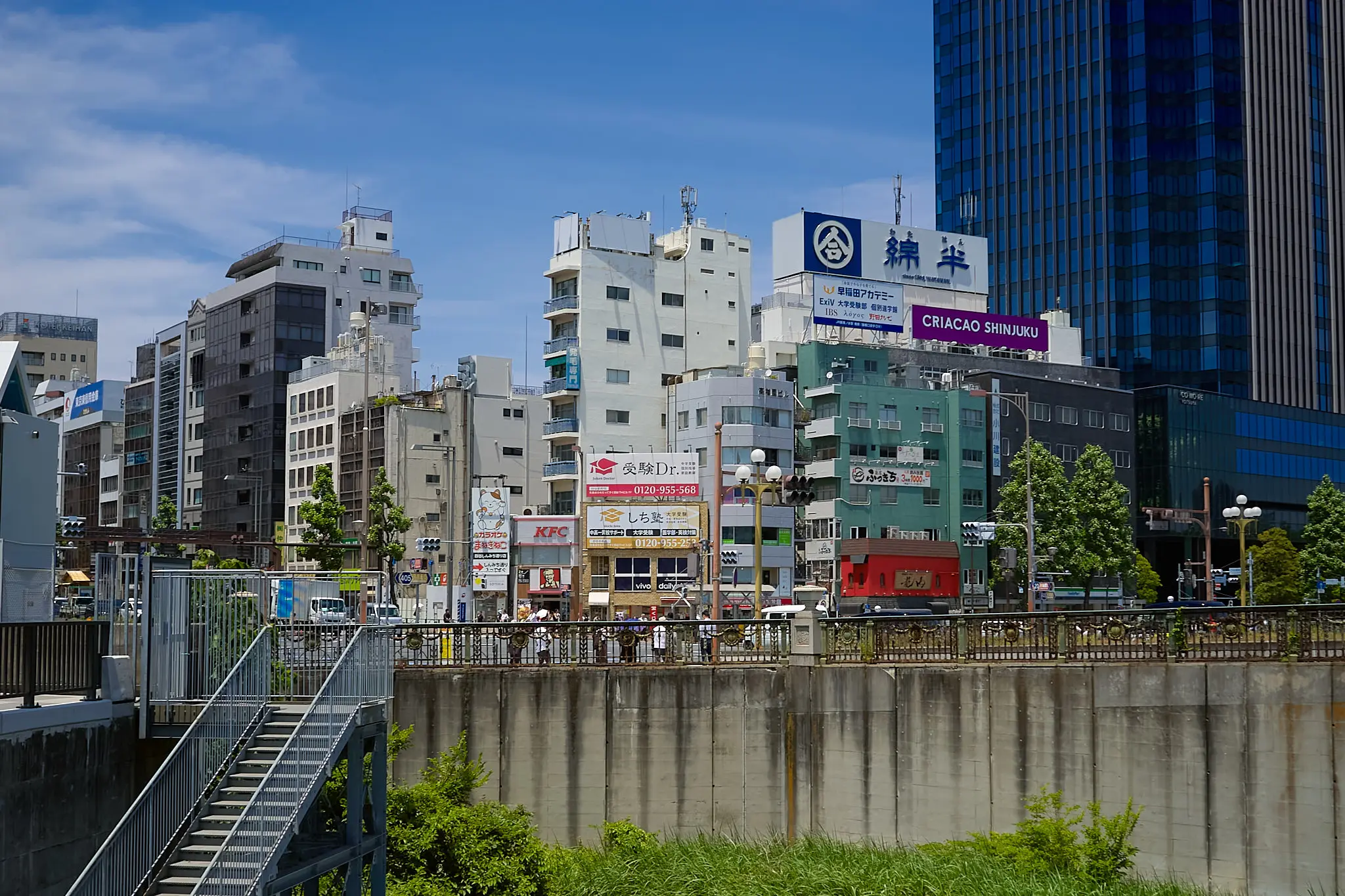 染井吉野ってこんなんだったっけ?