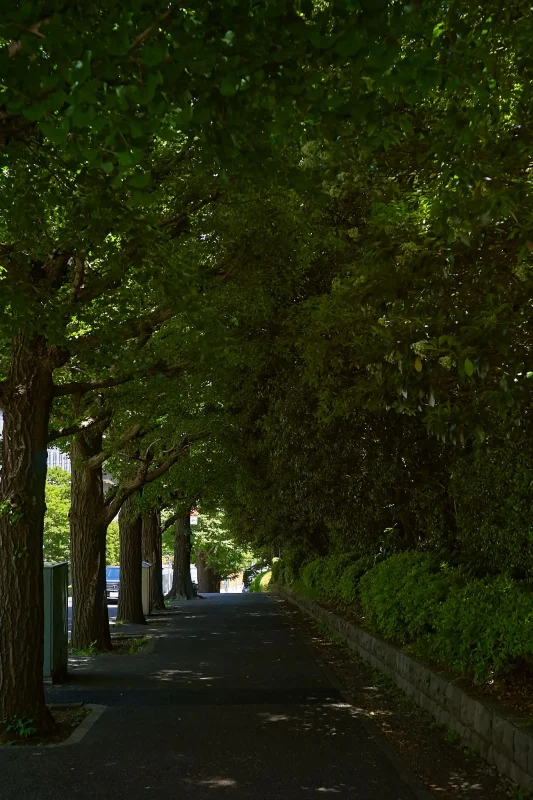 どうしてもたどり着いてしまう清水谷公園